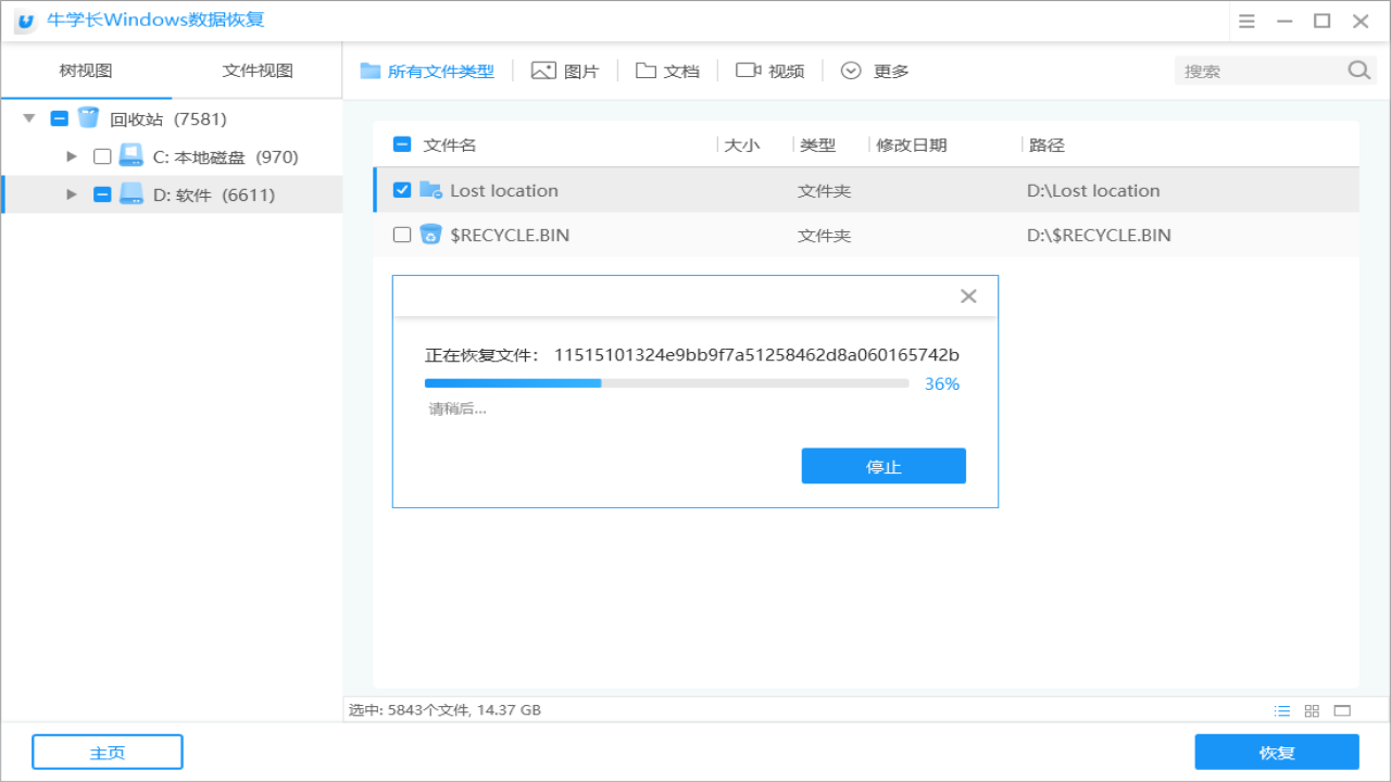 图片[3]-牛学长Windows数据恢复工具 10.1.5.2-外行下载站
