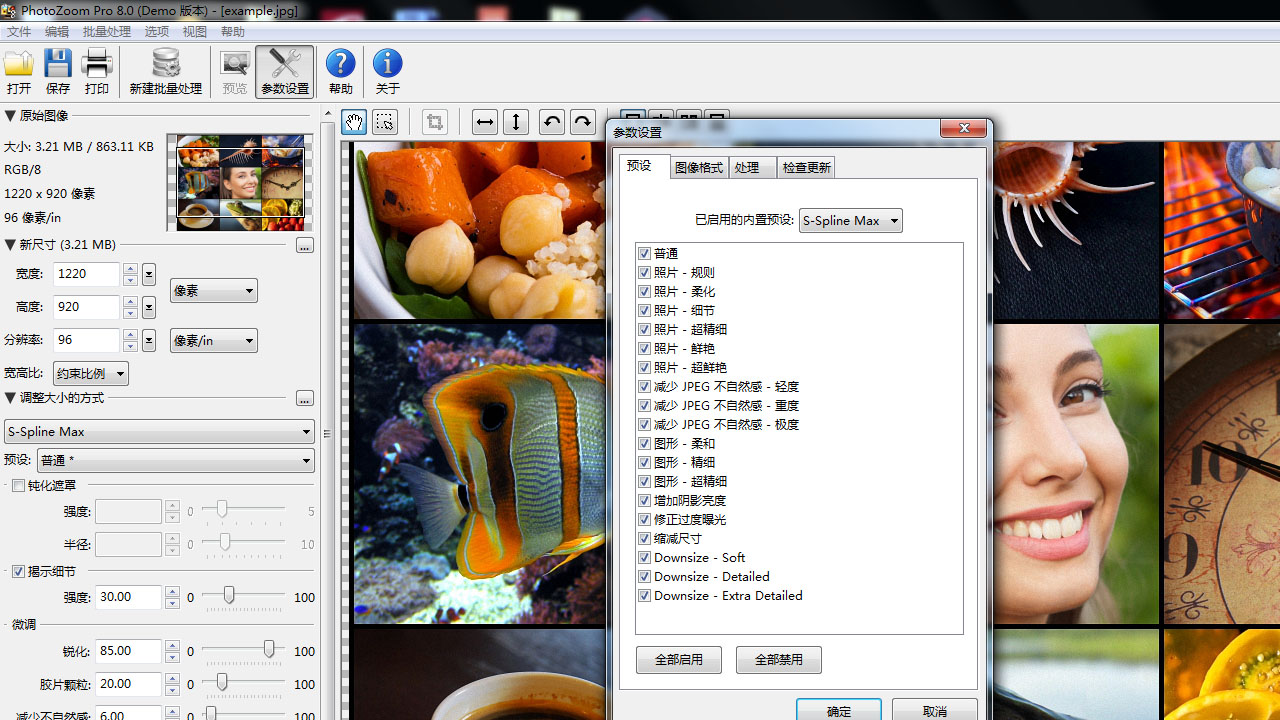PhotoZoomPro 8 8.0.0-外行下载站