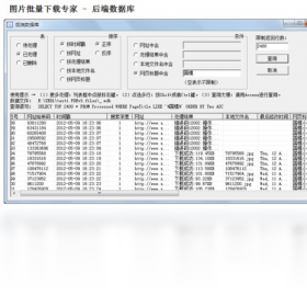 图片[3]-图片批量下载专家 3.0.9-外行下载站