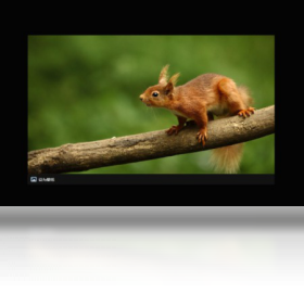 图片[3]-囧图桌面 1.0.0.0-外行下载站