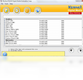 图片[3]-NucleusKernelDigitalMediaDataRecovery 4.02-外行下载站