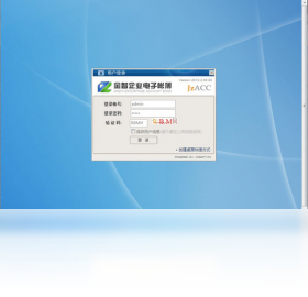 金智企业电子账簿 1.0-外行下载站