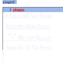 英文输入助手 2010.1.1.0-外行下载站