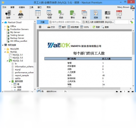 图片[3]-NavicatPremium 11.2.11-外行下载站