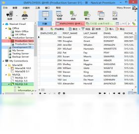 图片[2]-NavicatPremium 11.2.11-外行下载站