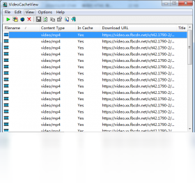 VideoCacheView 3.0.5.0-外行下载站