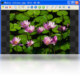 图片[2]-MassiGra 0.3.9.0-外行下载站