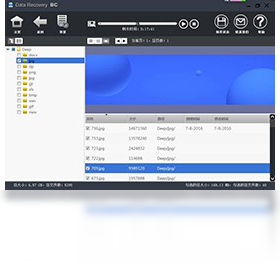 图片[5]-DataRecoveryPro(BC) 3.2.0.1-外行下载站