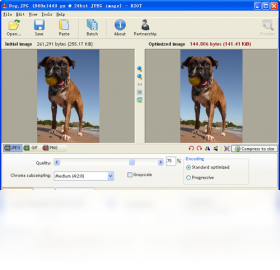 图片[2]-RIOT 0.4.5.0-外行下载站