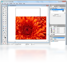 图片[3]-freehand 11.0.2.92-外行下载站