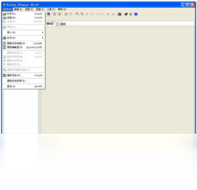 图片[3]-VallenJPegger 2009.12.21.0-外行下载站