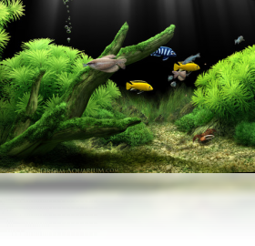 DreamAquarium 1.0.70-外行下载站