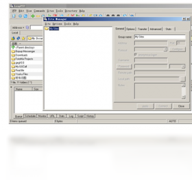 图片[2]-LeapFTP 3.1.0.50-外行下载站