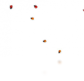 图片[2]-Ladybugondesktop 1.0-外行下载站