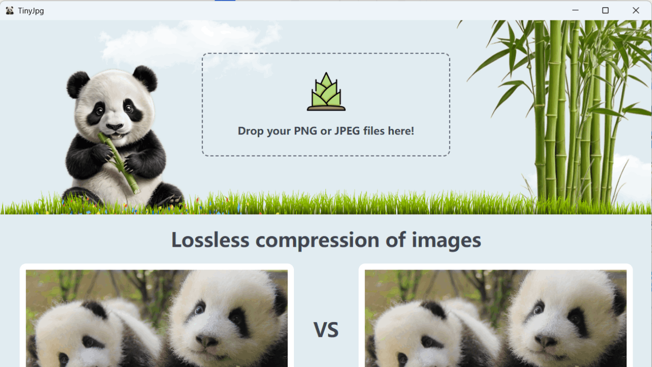 图片[2]-TinyJpg 1.1.1-外行下载站