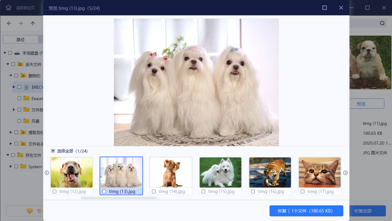 图片[3]-易我数据恢复 17.0.0.0-外行下载站