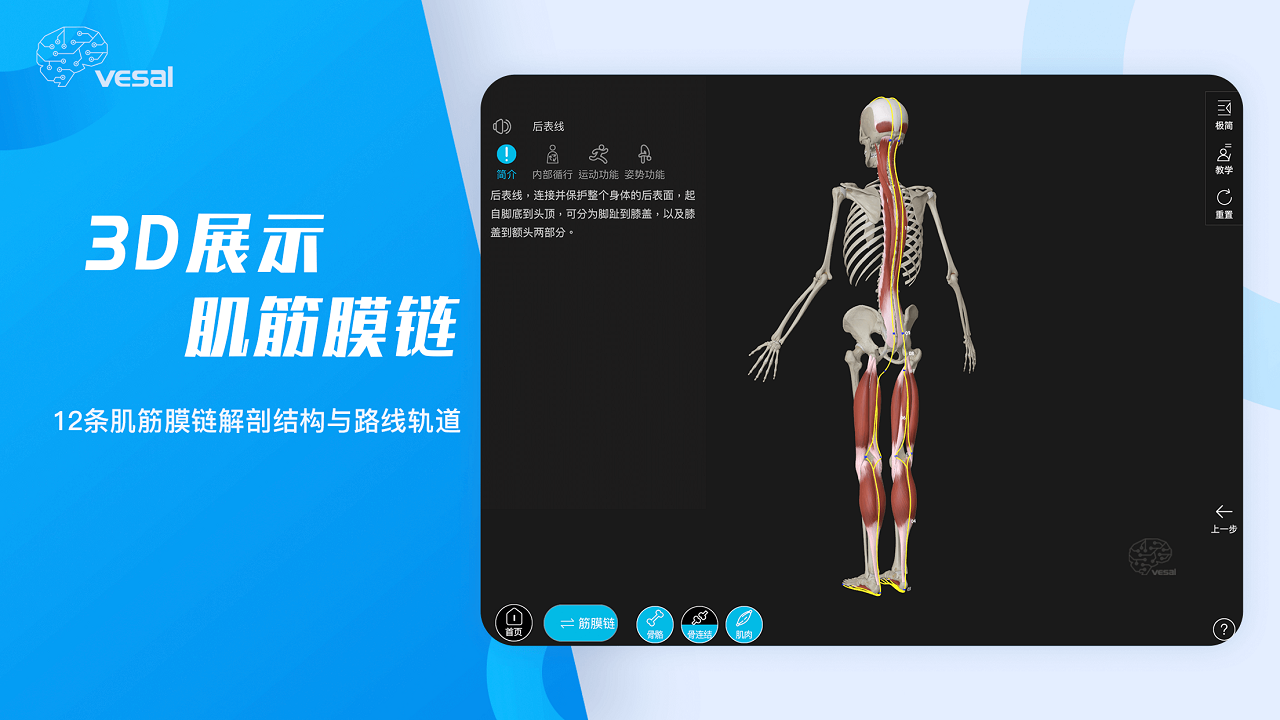 图片[5]-解剖大师——3D运动康复 2.8.0-外行下载站