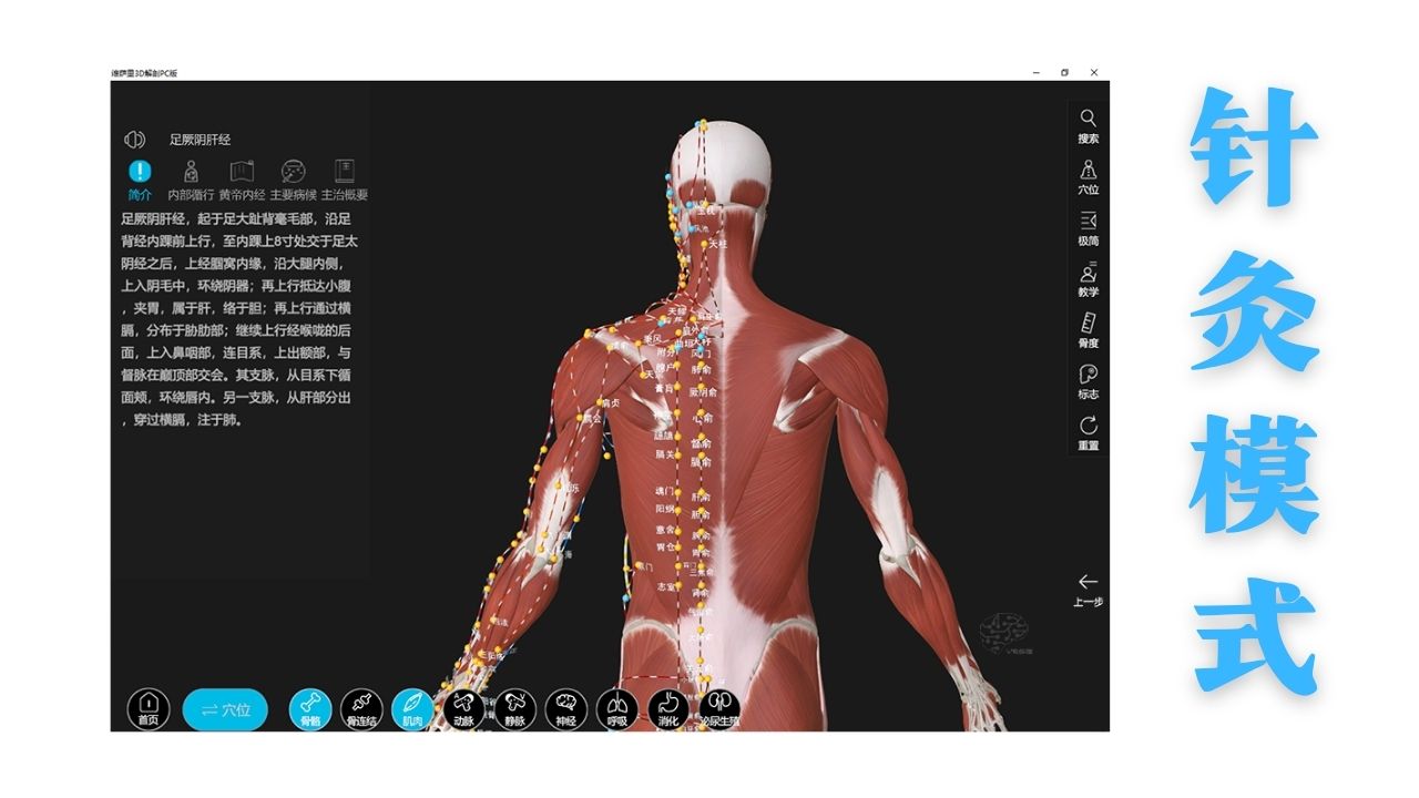 图片[2]-维萨里3D解剖——教学系统 3.0.0-外行下载站