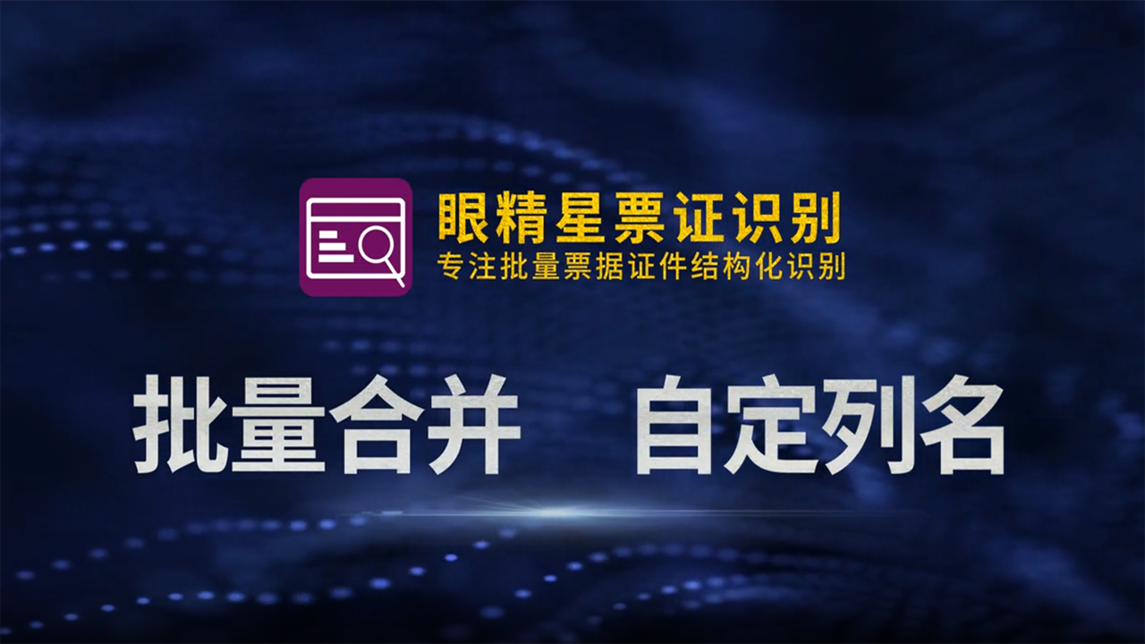 图片[5]-眼精星票证识别系统 1.06.8-外行下载站