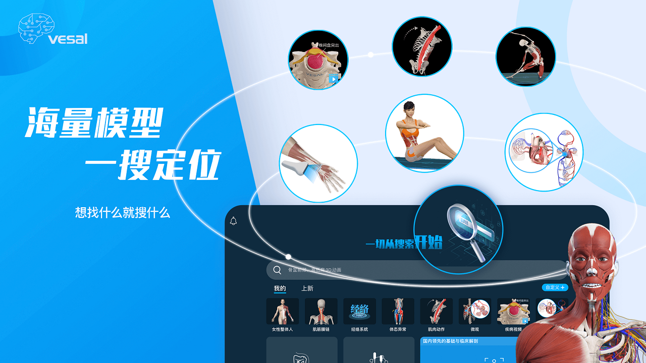 图片[2]-解剖大师——3D运动康复 2.8.0-外行下载站