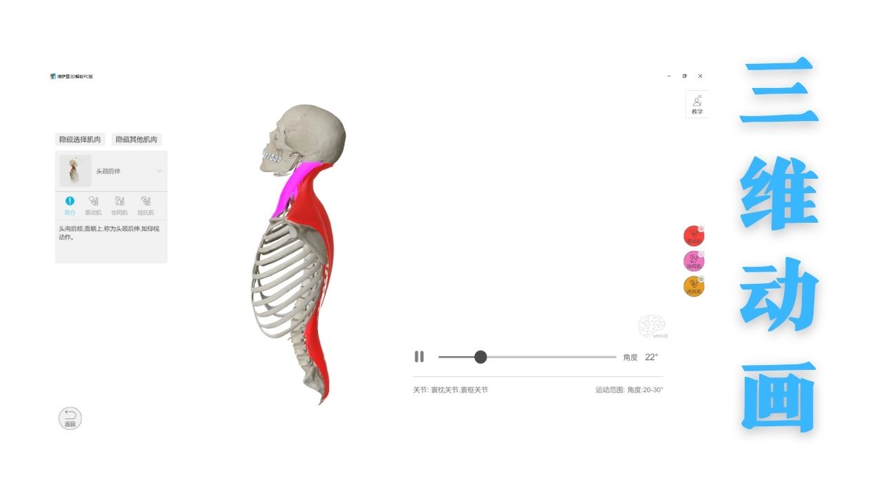 图片[5]-维萨里3D解剖——教学系统 3.0.0-外行下载站