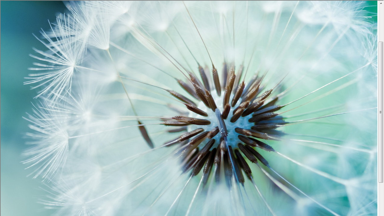 图片[3]-ALL网站图片批量下载器 3.23.3.0-外行下载站