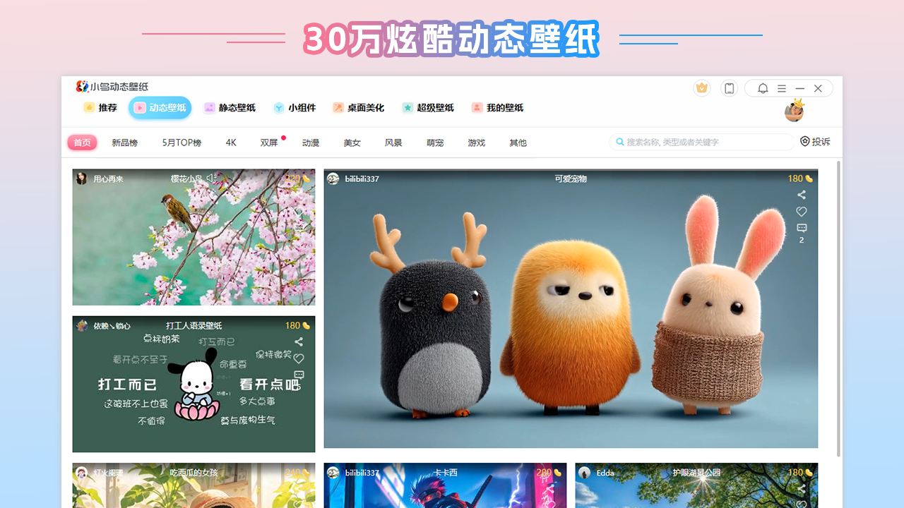 图片[4]-小鸟动态壁纸（ARM版） 3.1125.2612.903-外行下载站