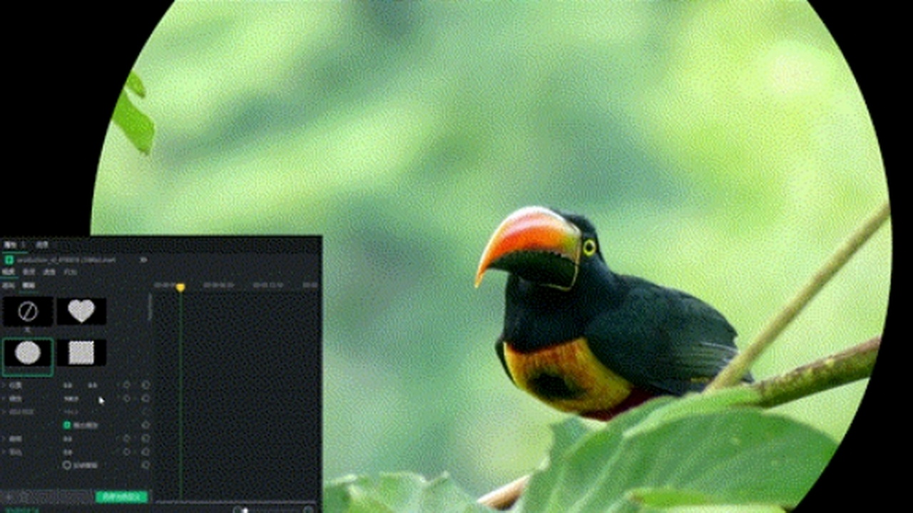 图片[5]-亮鱼剪辑专业版 7 7.1.3.2522-外行下载站