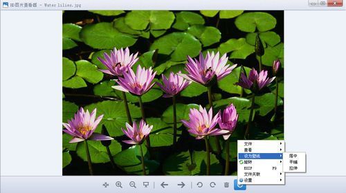图片[2]-HD图片查看器 1.2.0.22-外行下载站