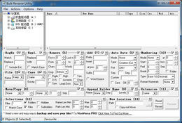 Bulk Rename Utility x64 3.4.1.0-外行下载站
