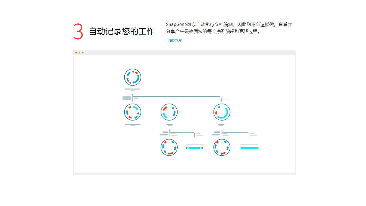 图片[3]-SnapGene 8.2.1-外行下载站