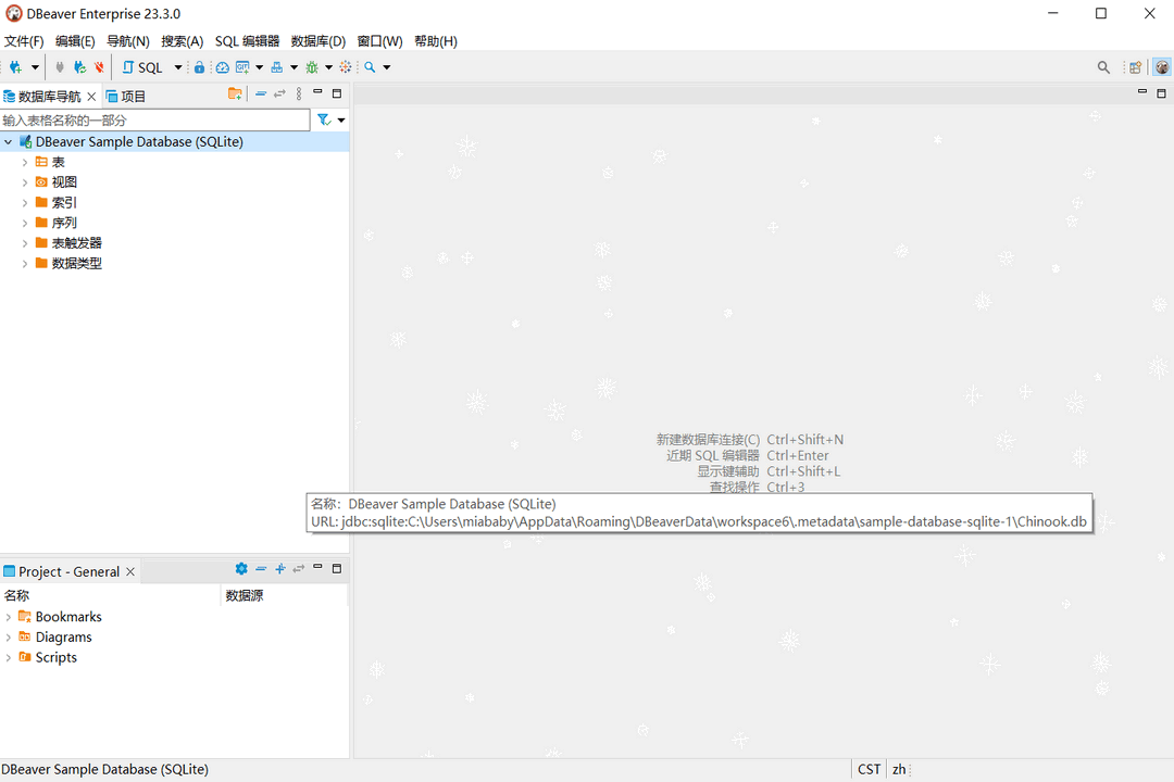 图片[2]-DBeaverEE 25.0.0-外行下载站