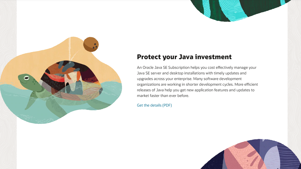 JavaSEDevelopmentKit（JDK） 19.0.2.0-外行下载站