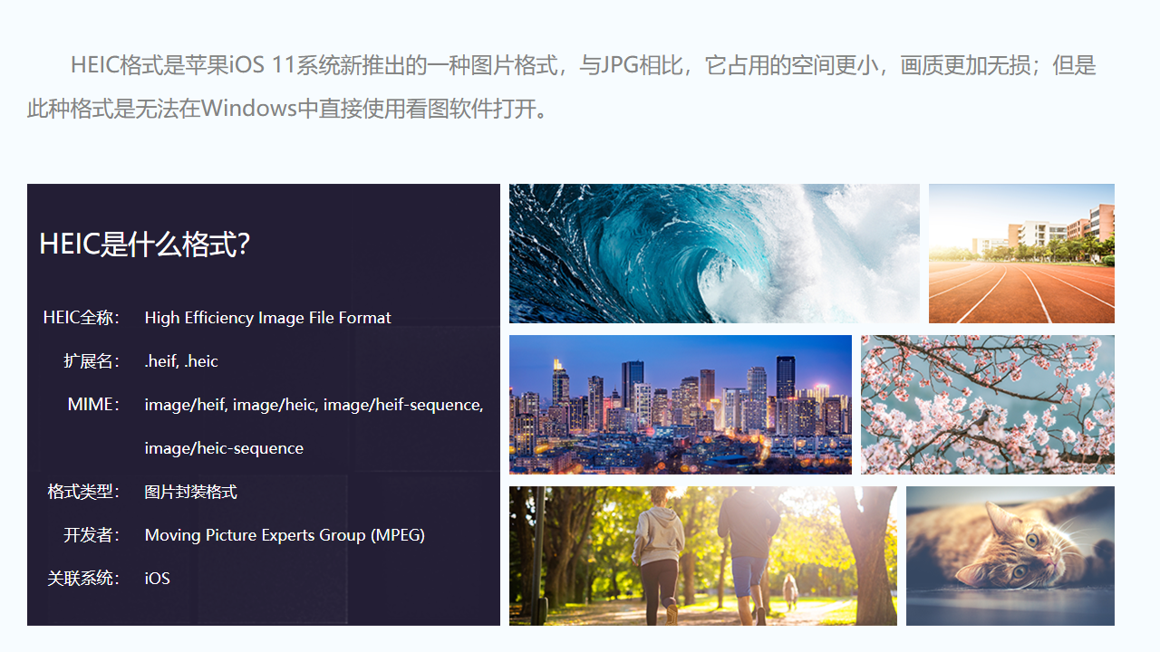 图片[2]-金舟苹果HEIC图片转换器 3.6.4.0-外行下载站