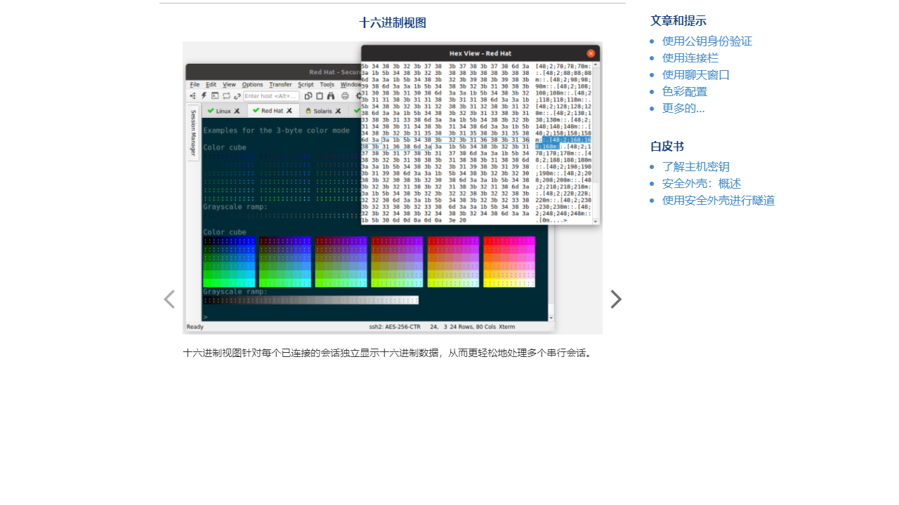 图片[3]-VanDyke Software SecureCRT 9.3.2-外行下载站