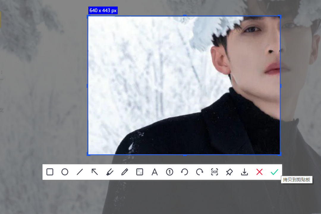 图片[2]-VeryCapture 1.8.9.5-外行下载站