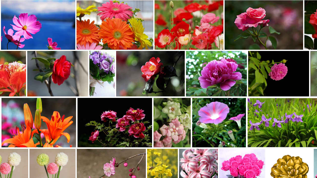 图片[2]-里讯浏览器 8.21.05.13-外行下载站