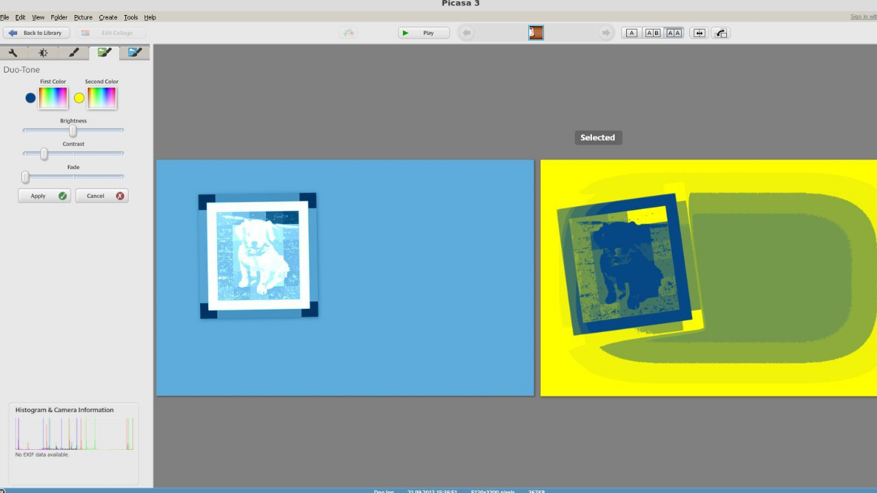 图片[4]-Picasa 3.9.141.259-外行下载站