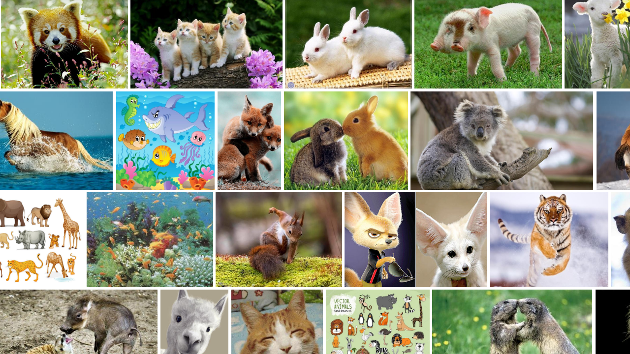 图片[3]-里讯浏览器 8.21.05.13-外行下载站