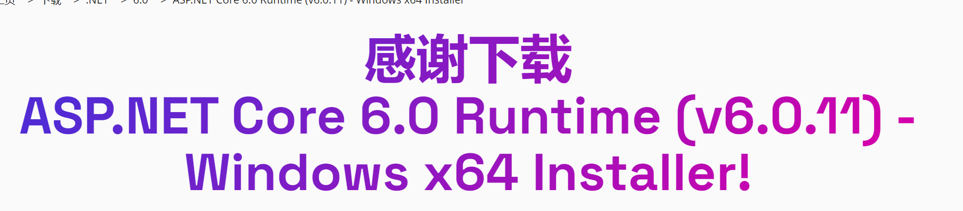 图片[3]-Microsoft ASP.NET Core 6.0.11 6.0.11.22523-外行下载站