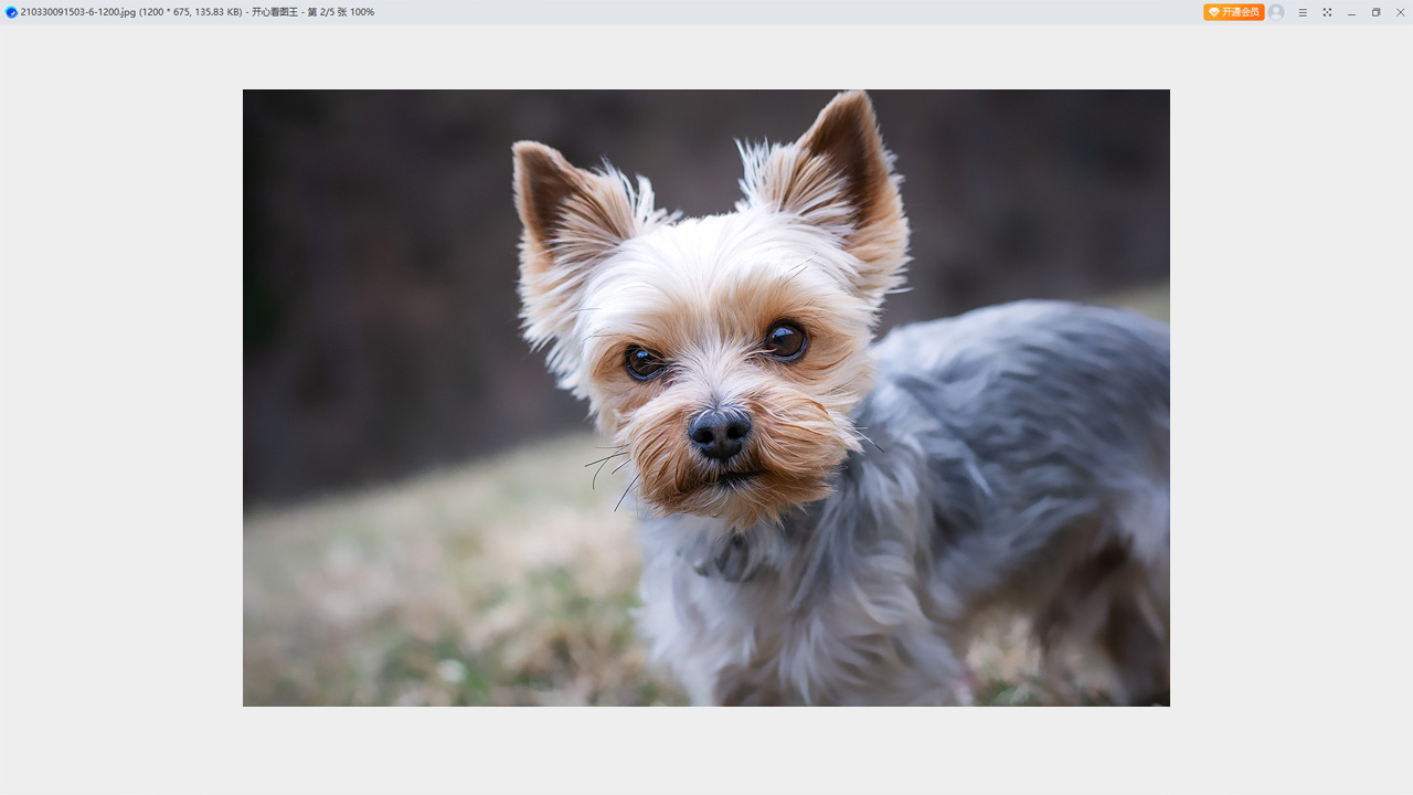 图片[4]-开心看图王 1.0.1.7-外行下载站