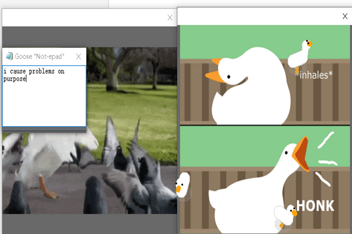 图片[3]-桌面大鹅 1.0.0.0-外行下载站