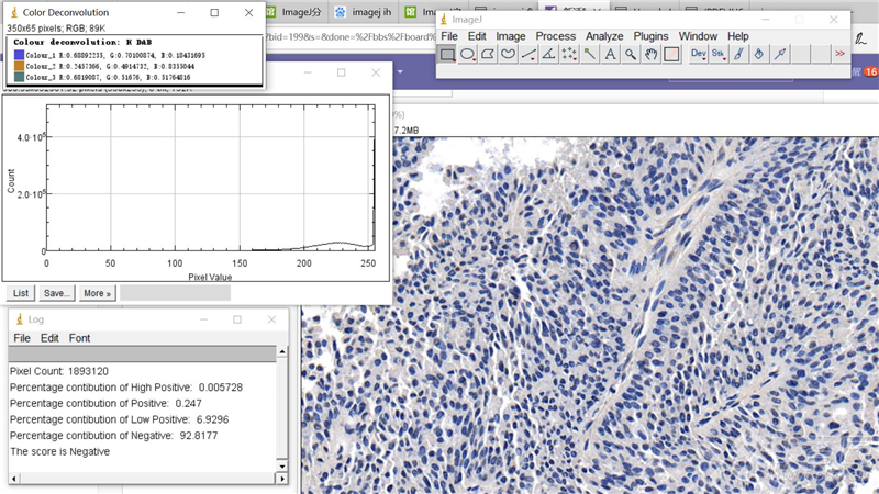 图片[3]-ImageJ 1.8.0-外行下载站