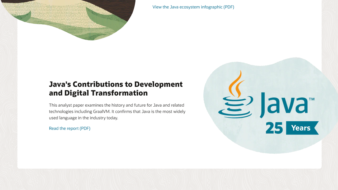 图片[2]-JavaSEDevelopmentKit（JDK） 19.0.2.0-外行下载站