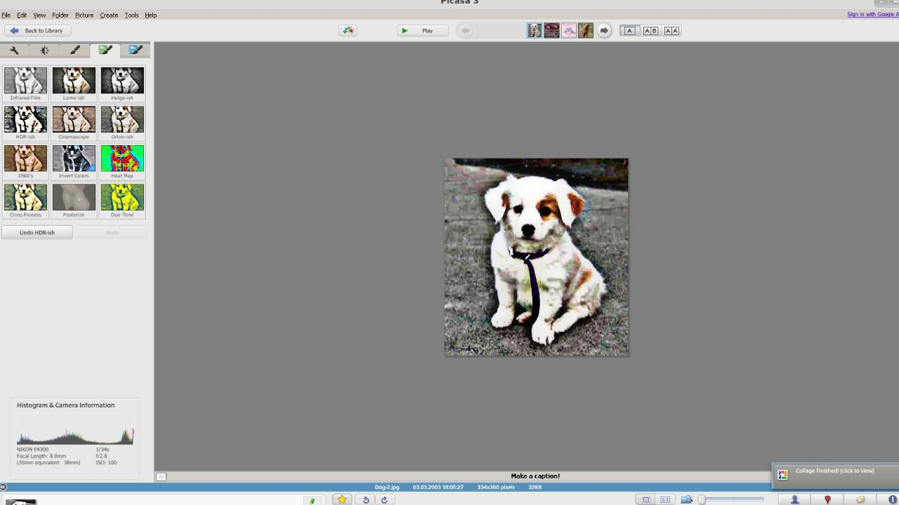 Picasa 3.9.141.259-外行下载站