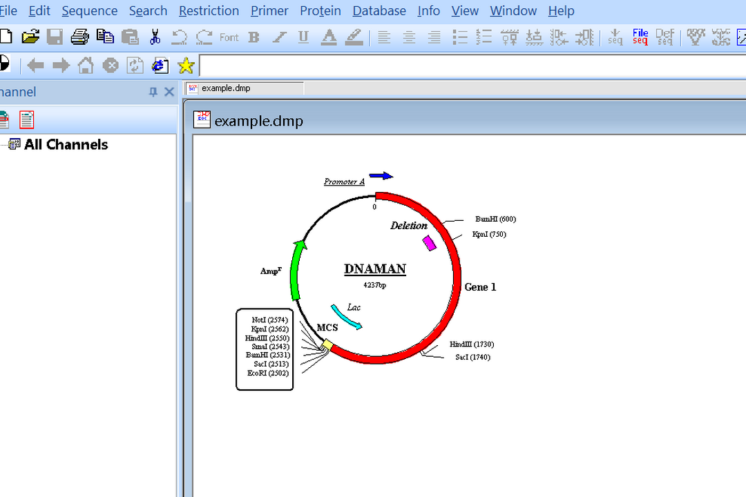 图片[2]-Dnaman 9-外行下载站