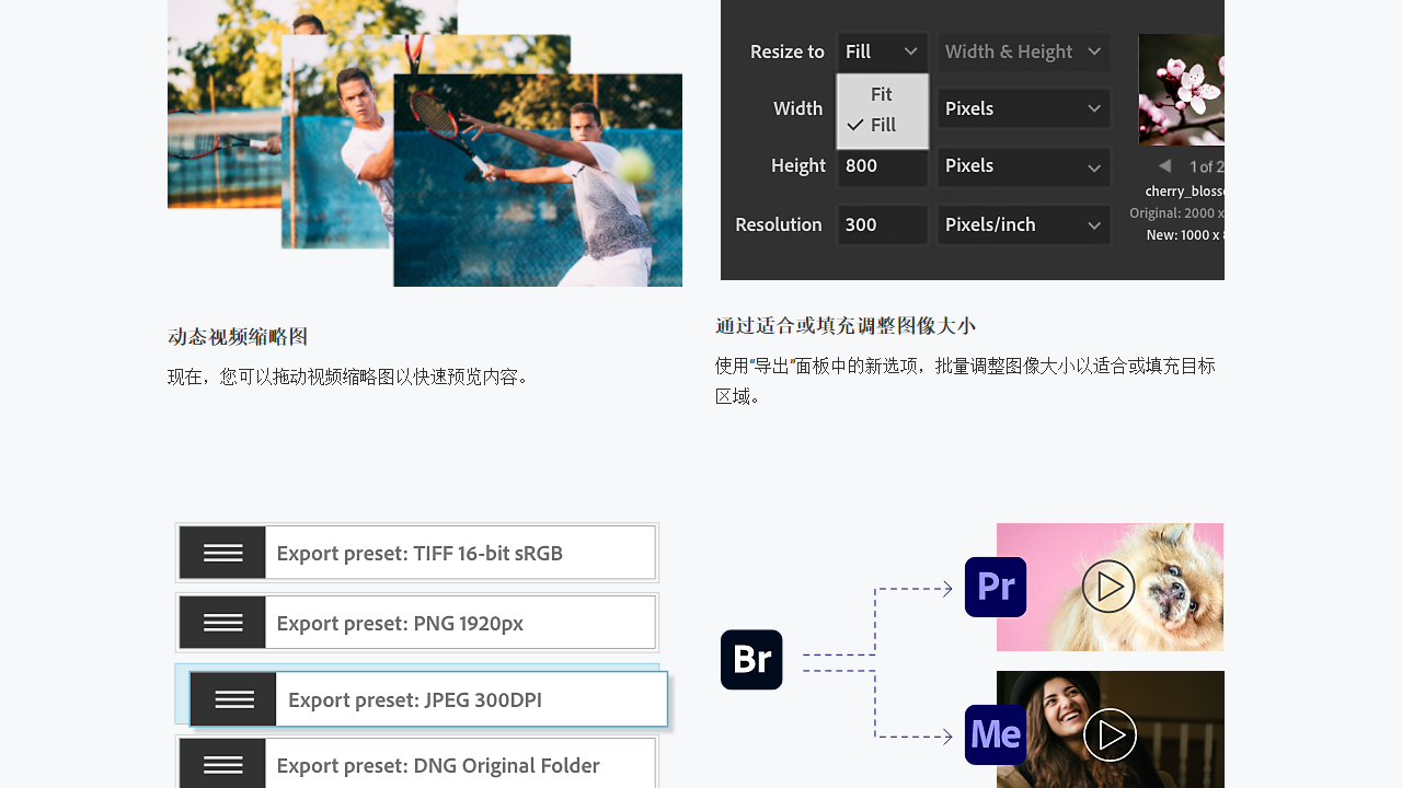 图片[2]-Adobe Bridge 2021 11.0.1-外行下载站