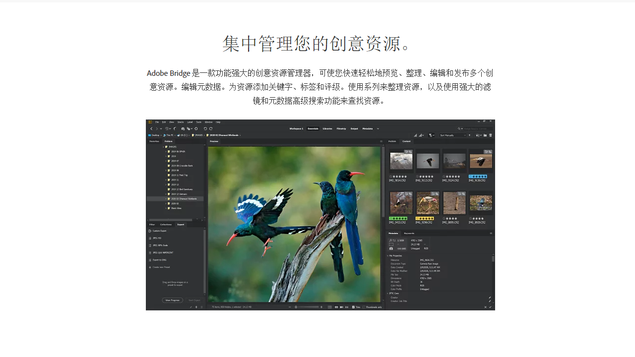 Adobe Bridge 2021 11.0.1-外行下载站