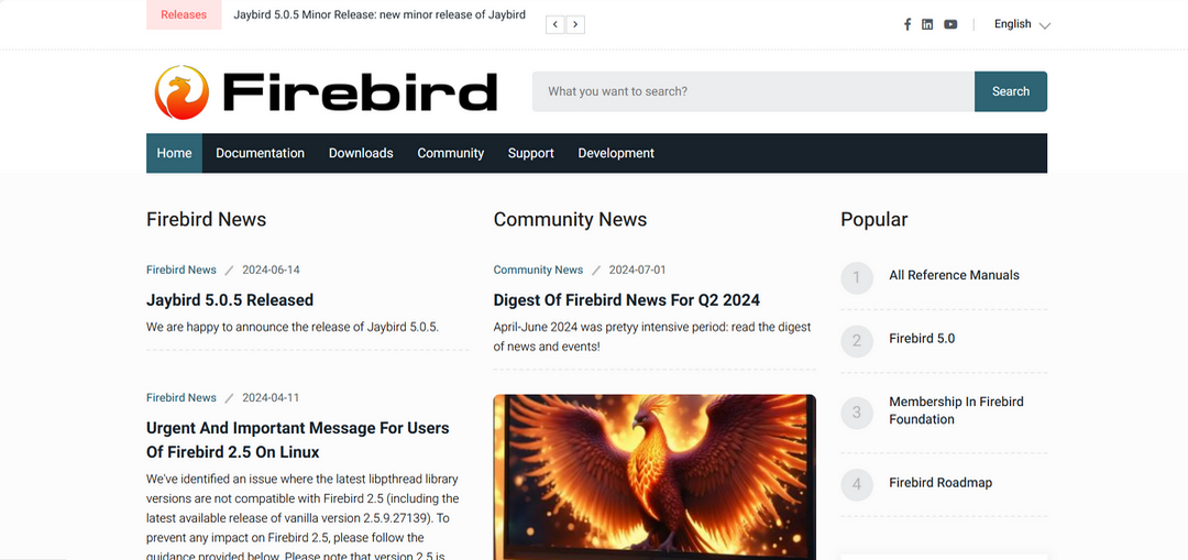 图片[2]-Firebird 5.0.1.1469-外行下载站
