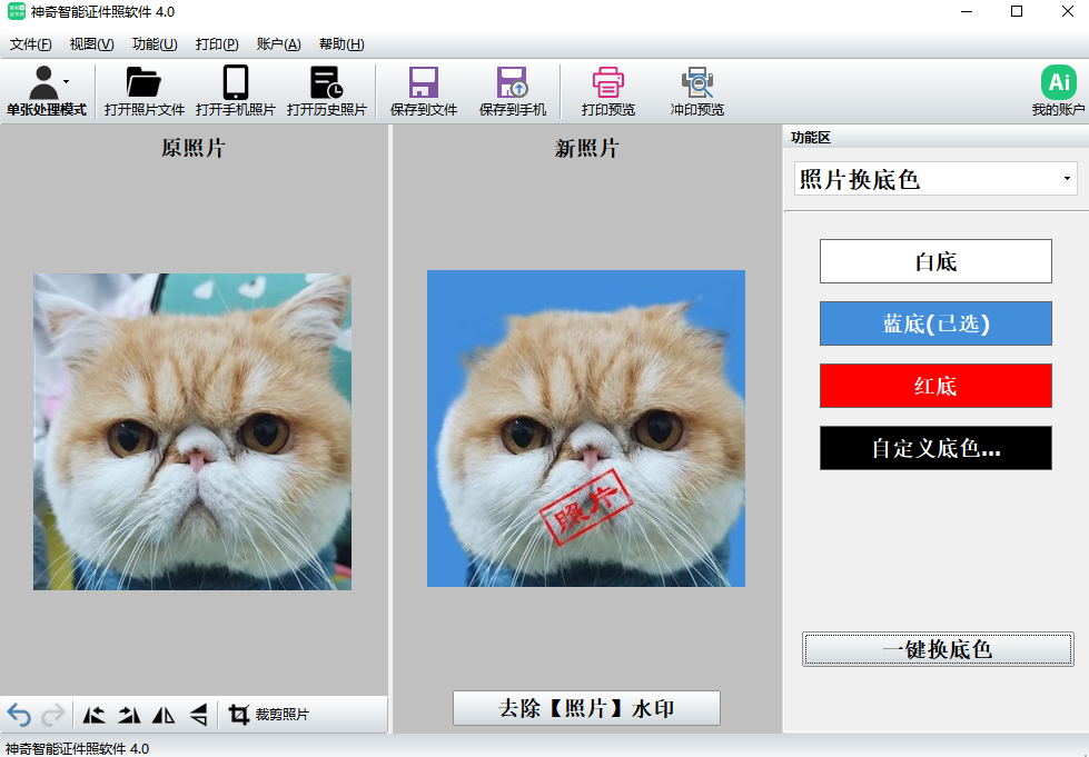 图片[4]-神奇智能证件照软件 4.0.0.451-外行下载站